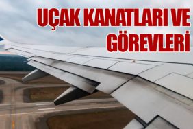 uçak-kanadı