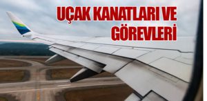 uçak-kanadı