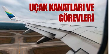 uçak-kanadı