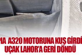 PIA Airbus A320 motoruna kuş girdi, uçak Lahor’a geri döndü