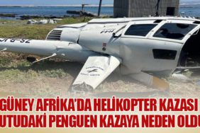 Güney Afrika’da Helikopter Kazası: Kutudaki Penguen Kazaya Neden Oldu