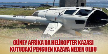 Güney Afrika’da Helikopter Kazası: Kutudaki Penguen Kazaya Neden Oldu 7 Haberler THY Güney Afrika’da Helikopter Kazası: Kutudaki Penguen Kazaya Neden Oldu