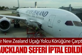 Air New Zealand Uçağı Yolcu Körüğüne Çarptı: Auckland Seferi İptal Edildi