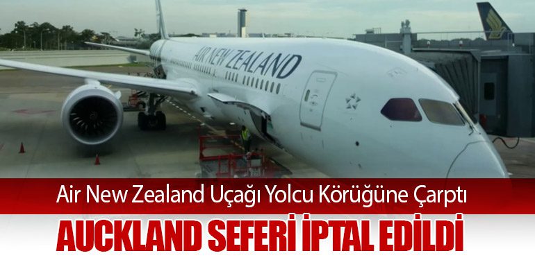 Air New Zealand Uçağı Yolcu Körüğüne Çarptı: Auckland Seferi İptal Edildi