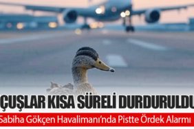 Sabiha Gökçen Havalimanı’nda Pistte Ördek Alarmı: Uçuşlar Kısa Süreli Durduruldu