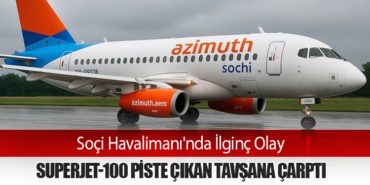 Soçi Havalimanı'nda İlginç Olay: Superjet-100 Piste Çıkan Tavşana Çarptı 1 Haberler Soçi Soçi Havalimanı’nda İlginç Olay: Superjet-100 Piste Çıkan Tavşana Çarptı