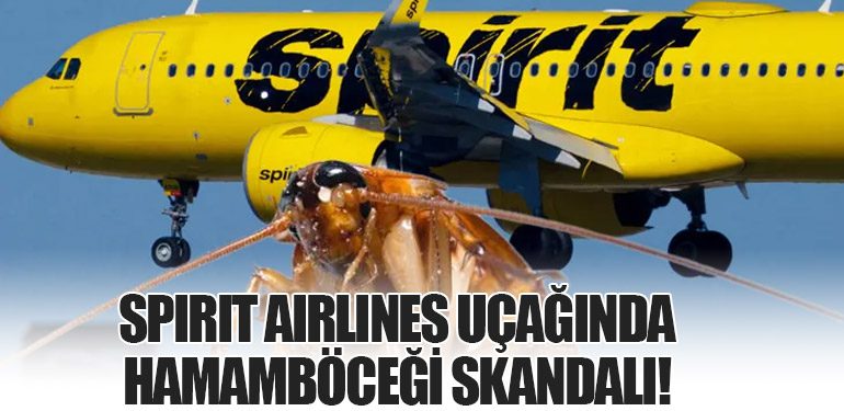 Spirit Airlines Uçağında Hamamböceği Skandalı!
