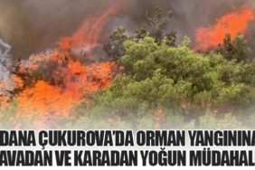 Adana Çukurova’da Orman Yangınına Havadan ve Karadan Yoğun Müdahale