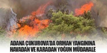 Adana Çukurova’da Orman Yangınına Havadan ve Karadan Yoğun Müdahale 1 Haberler Adana Çukurova Adana Çukurova’da Orman Yangınına Havadan ve Karadan Yoğun Müdahale
