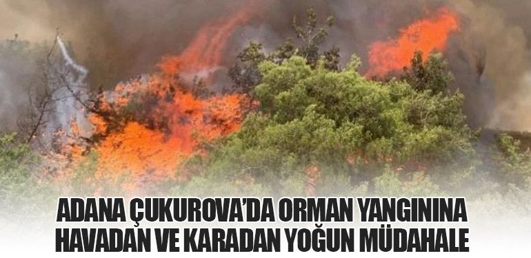Adana Çukurova’da Orman Yangınına Havadan ve Karadan Yoğun Müdahale