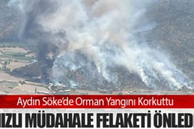 Aydın Söke’de Orman Yangını Korkuttu: Hızlı Müdahale Felaketi Önledi