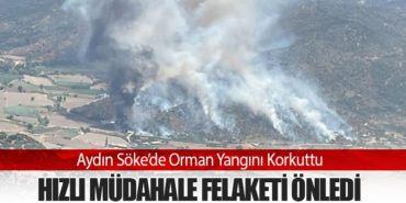 Aydın Söke’de Orman Yangını Korkuttu: Hızlı Müdahale Felaketi Önledi 10 Haberler DHL Express Aydın Söke’de Orman Yangını Korkuttu: Hızlı Müdahale Felaketi Önledi