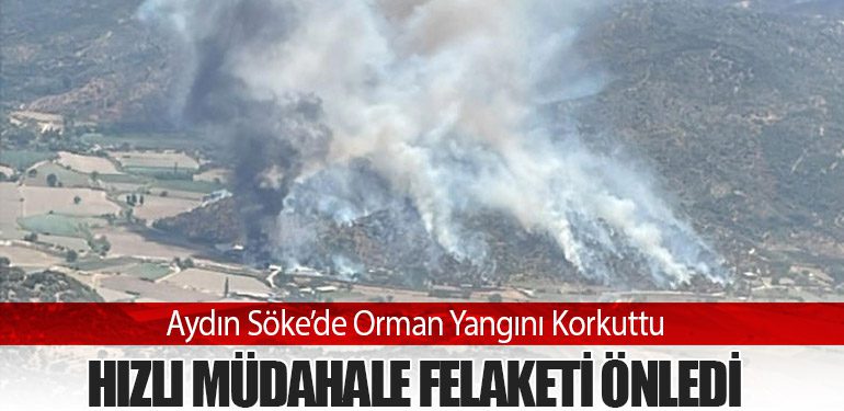 Aydın Söke’de Orman Yangını Korkuttu: Hızlı Müdahale Felaketi Önledi