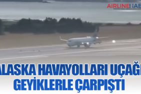Alaska-Havayolları-Uçağı-Geyiklerle-Çarpıştı