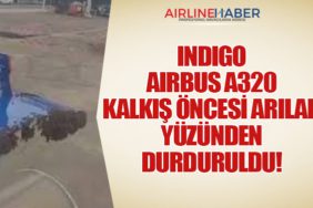 IndiGo Airbus A320 Kalkış Öncesi Arılar Yüzünden Durduruldu!