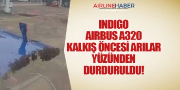 IndiGo Airbus A320 Kalkış Öncesi Arılar Yüzünden Durduruldu! 3 Haberler THY IndiGo Airbus A320 Kalkış Öncesi Arılar Yüzünden Durduruldu!