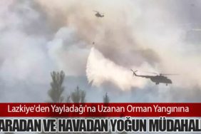 Lazkiye'den Yayladağı'na Uzanan Orman Yangınına Karadan ve Havadan Yoğun Müdahale