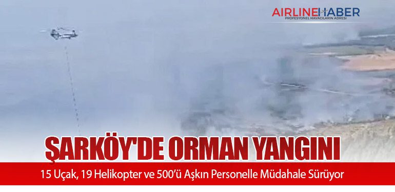 Şarköy'de Orman Yangını: 15 Uçak, 19 Helikopter ve 500’ü Aşkın Personelle Müdahale Sürüyor
