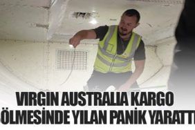 Virgin Australia Kargo Bölmesinde Yılan Panik Yarattı