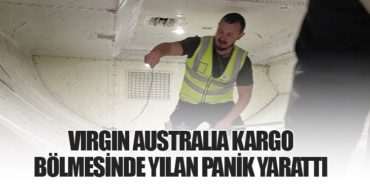 Virgin Australia Kargo Bölmesinde Yılan Panik Yarattı 2 Haberler Qantas Virgin Australia Kargo Bölmesinde Yılan Panik Yarattı