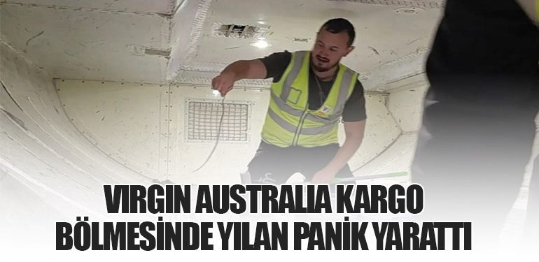 Virgin Australia Kargo Bölmesinde Yılan Panik Yarattı