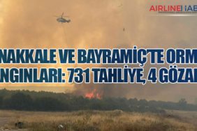 Çanakkale ve Bayramiç’te Orman Yangınları: 731 Tahliye, 4 Gözaltı