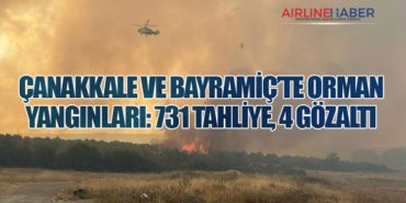 Çanakkale ve Bayramiç’te Orman Yangınları: 731 Tahliye, 4 Gözaltı