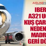 Iberia A321 Uçağı Kuş Çarpması Nedeniyle Madrid’e Geri Döndü