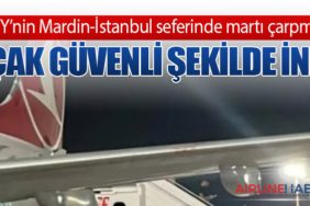 THY’nin Mardin-İstanbul seferinde martı çarpması: Uçak güvenli şekilde indi