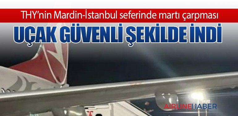 THY’nin Mardin-İstanbul seferinde martı çarpması: Uçak güvenli şekilde indi
