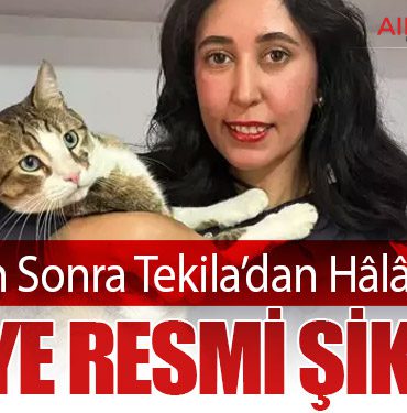 75 Gün Sonra Tekila’dan Hâlâ İz Yok: THY’ye Resmi Şikayet