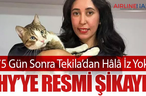 75 Gün Sonra Tekila’dan Hâlâ İz Yok: THY’ye Resmi Şikayet