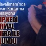 İstanbul-Havalimanı’nda-Evcil-Hayvan-Kurtarma-Operasyonu