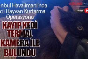 İstanbul-Havalimanı’nda-Evcil-Hayvan-Kurtarma-Operasyonu
