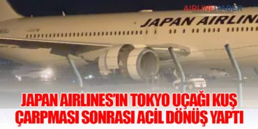 Japan Airlines’ın Tokyo Uçağı Kuş Çarpması Sonrası Acil Dönüş Yaptı