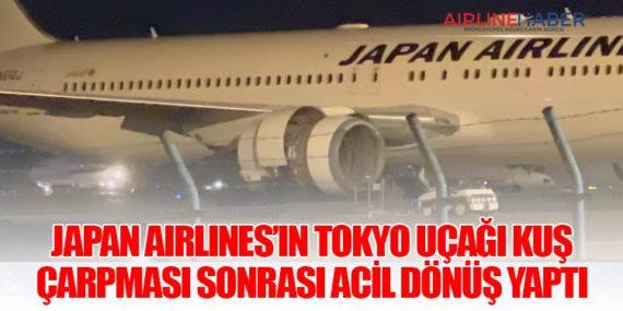Japan Airlines’ın Tokyo Uçağı Kuş Çarpması Sonrası Acil Dönüş Yaptı