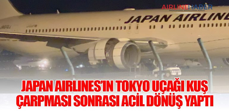 Japan Airlines’ın Tokyo Uçağı Kuş Çarpması Sonrası Acil Dönüş Yaptı