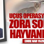 Uçuş Operasyonunu Zora Sokan Hayvanlar!
