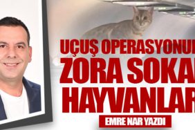 Uçuş Operasyonunu Zora Sokan Hayvanlar!