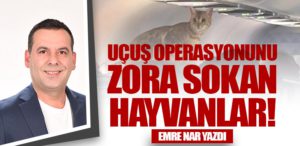 Uçuş Operasyonunu Zora Sokan Hayvanlar!