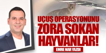 Uçuş Operasyonunu Zora Sokan Hayvanlar!