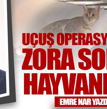 Uçuş Operasyonunu Zora Sokan Hayvanlar!