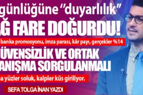Dağ fare doğurdu! Hayaller banka promosyonu, imza parası, kâr payı, gerçekler %14