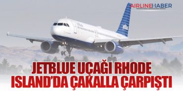 JetBlue Uçağı Rhode Island’da Çakalla Çarpıştı