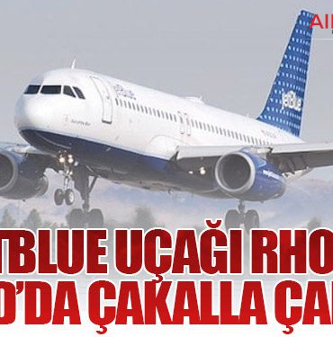 JetBlue Uçağı Rhode Island’da Çakalla Çarpıştı