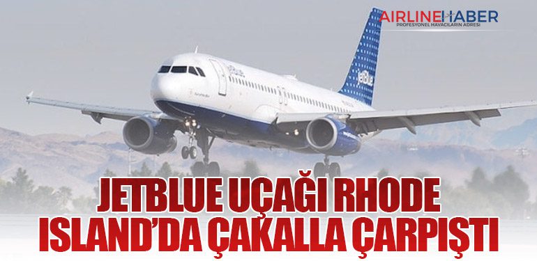 JetBlue Uçağı Rhode Island’da Çakalla Çarpıştı