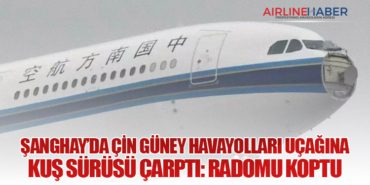Şanghay’da Çin Güney Havayolları Uçağına Kuş Sürüsü Çarptı: Radomu Koptu