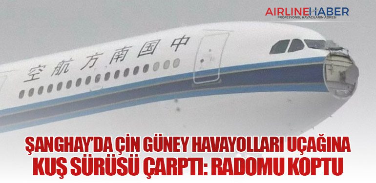 Şanghay’da Çin Güney Havayolları Uçağına Kuş Sürüsü Çarptı: Radomu Koptu