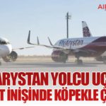 FlyArystan yolcu uçağı Çimkent inişinde köpekle çarpıştı