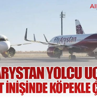 FlyArystan yolcu uçağı Çimkent inişinde köpekle çarpıştı